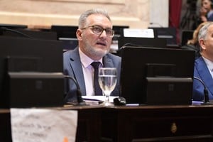 El senador por Santa Fe Marcelo Lewandowski.