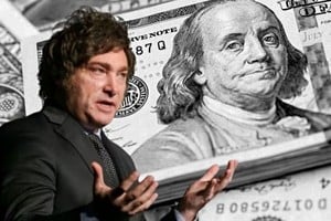 Sostener el dólar con ventas oficiales es subsidiarlo, exactamente aquello que el propio presidente denunciaba como la raíz de la decadencia argentina. Gentileza