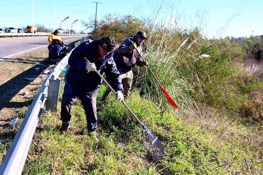 Las tareas se desplegaron este viernes.
