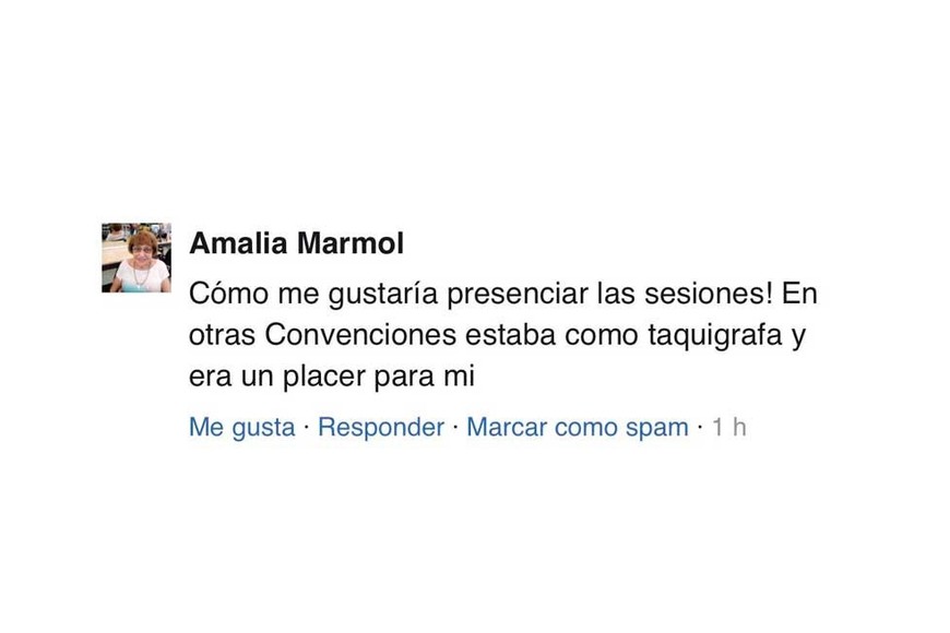 El comentario que originó la nota.