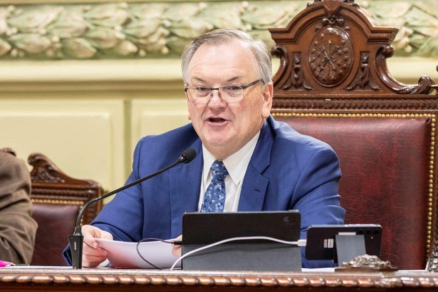 Michlig expuso en el Senado el reclamo histórico por la alta siniestralidad del cruce.