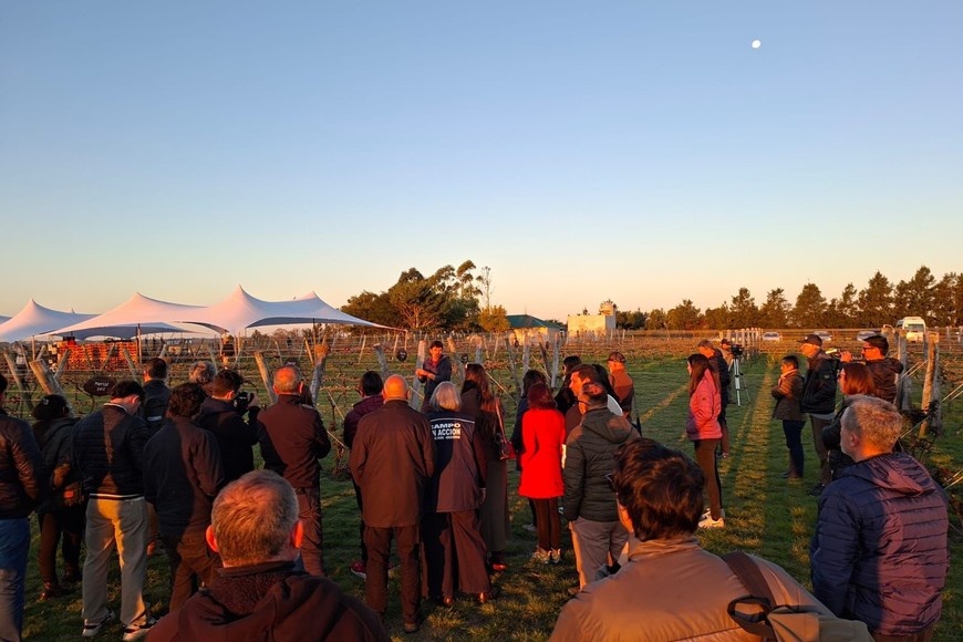 “Cada uno tiene su mirada sobre los distintos sectores, pero estas instancias de salir al territorio nos permiten conocer mejor las producciones y comunicar con más herramientas”, señaló Taleb.