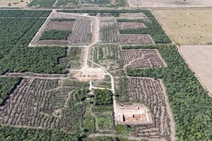 La denuncia presentada por el Ministerio de Ambiente y Cambio Climático impulsó a que la Procuración General de la Corte Suprema de Justicia de la Provincia de Santa Fe promoviera una acción de amparo colectivo ambiental contra la empresa.