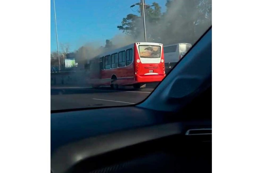 El fuego afectó toda la carrocería.