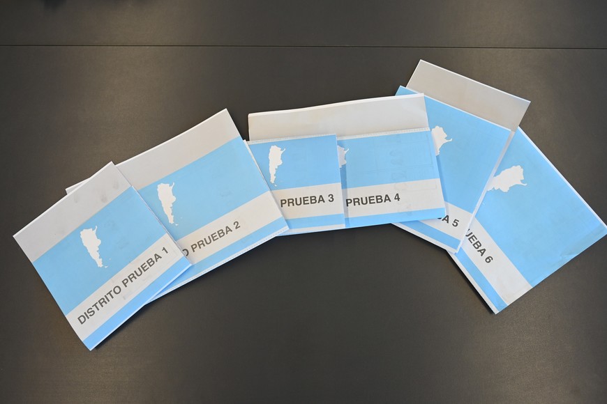 Los santafesinos elegirán diputados nacionales. Crédito: Flavio Raina