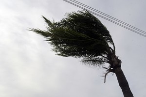 Diferentes regiones del país afectadas por el aviso. Crédito: Guillermo Di Salvatore