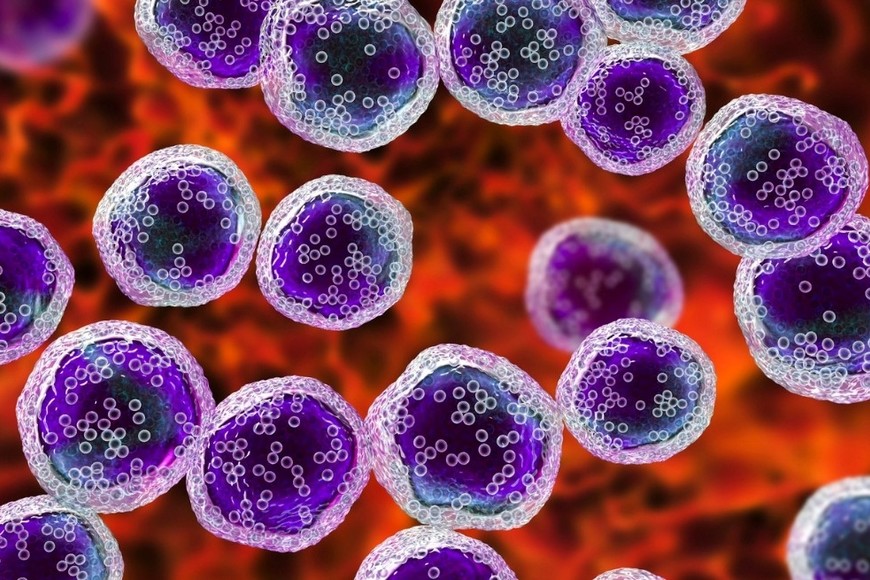 Estos tumores desplazan al tejido sano e interfieren con su funcionamiento.