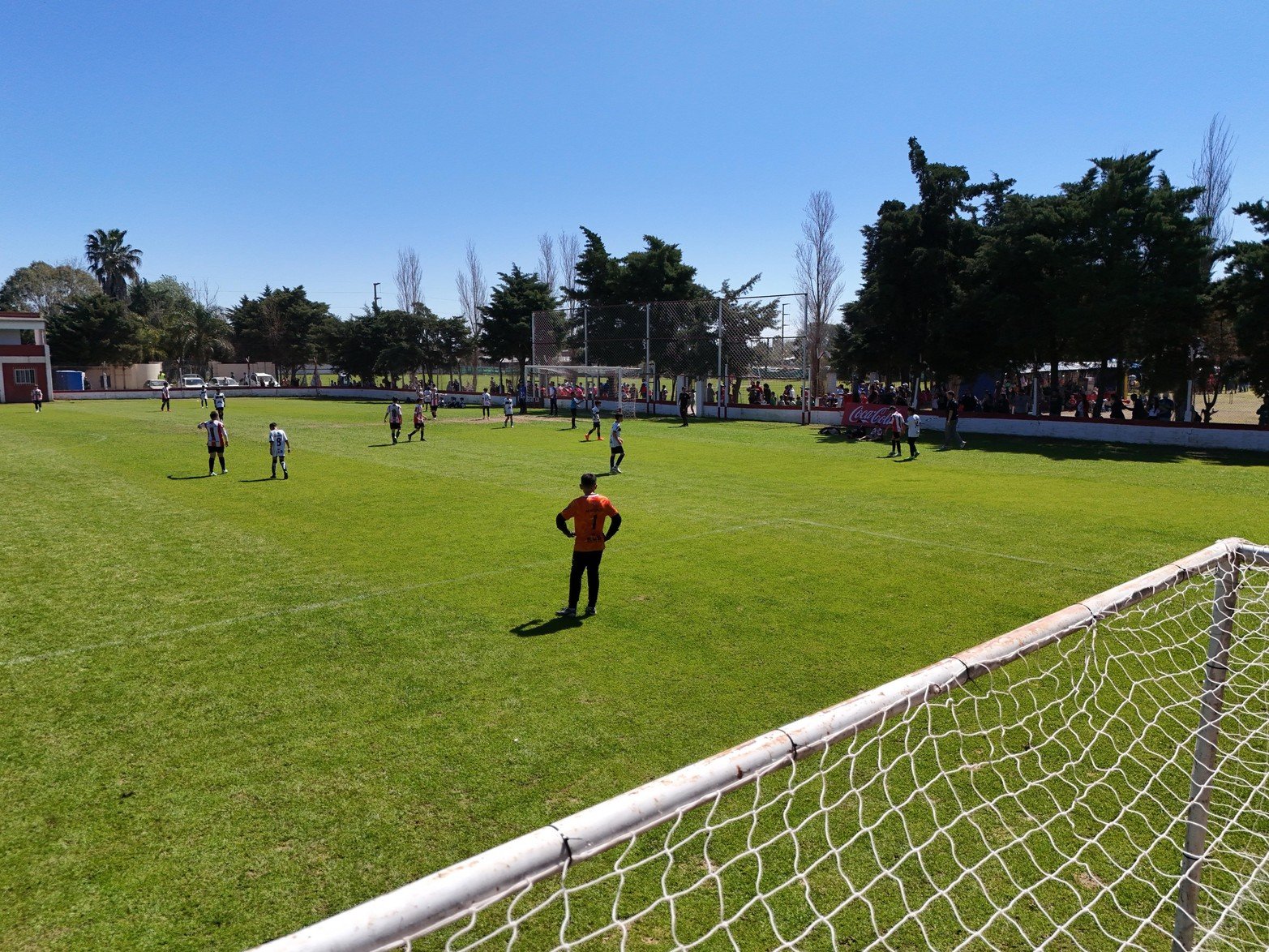 El Torneo Diego Barisone reúne a miles de chicos y chicas en la segunda jornada