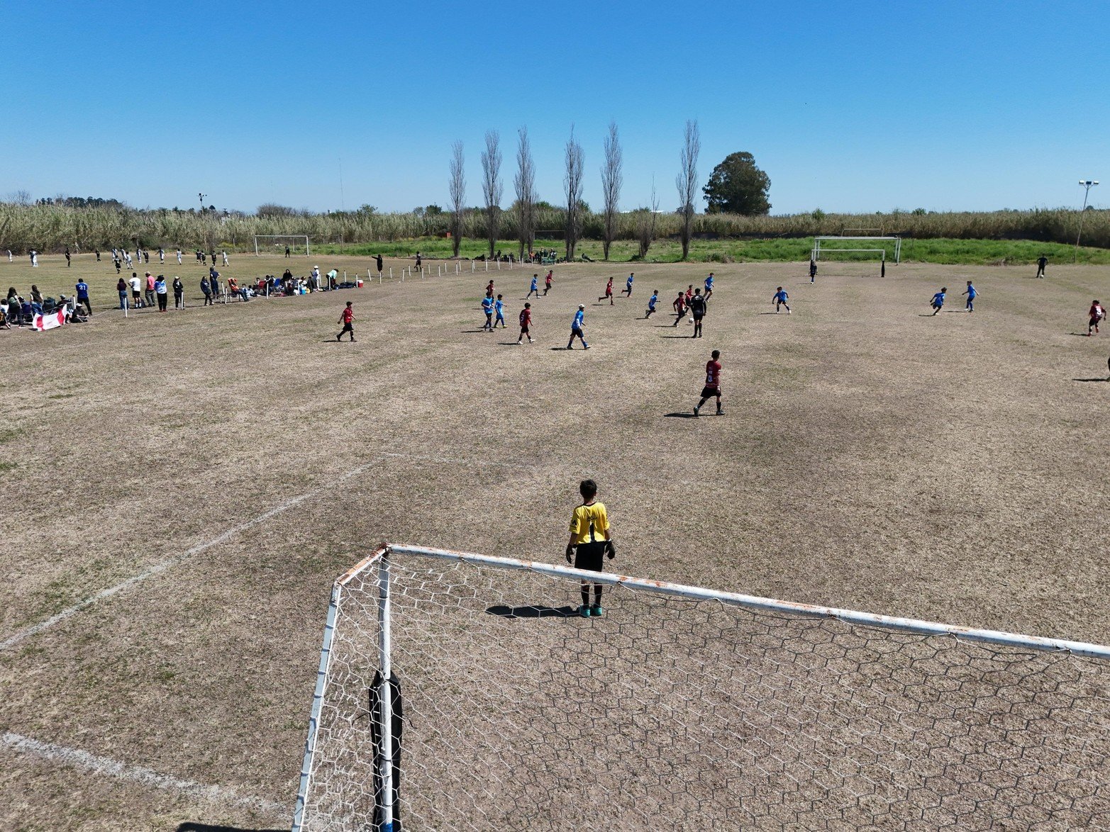 El Torneo Diego Barisone reúne a miles de chicos y chicas en la segunda jornada