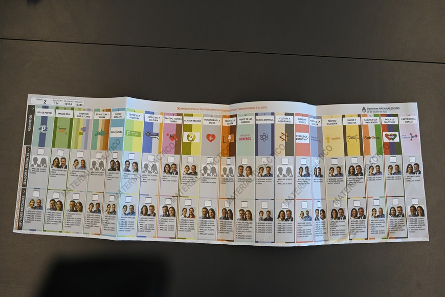 Los santafesinos elegirán diputados nacionales. Crédito: Flavio Raina