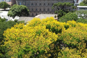 Crédito: Luis Cetraro