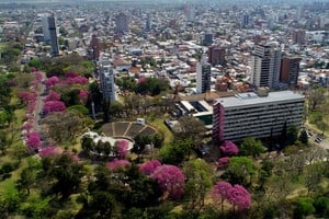 El Parque del Sur, uno de los lugares de plantación. Crédito: Fernando Nicola