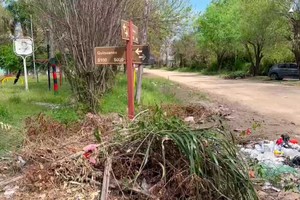 Ramas, basura y yuyos altos. Mal pasar para una placita del barrio.