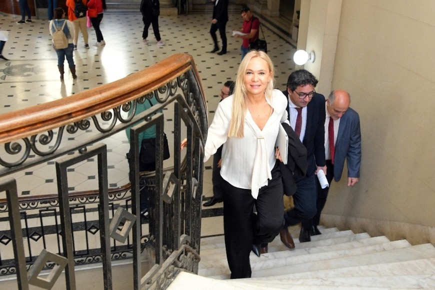 Vranicich dijo que "se ha sugerido a la Corte un proyecto a compartir". Foto: Guillermo Di Salvatore