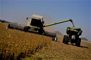 cosecha soja