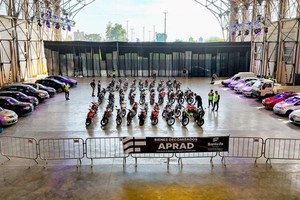 Más de 3.900 inscriptos de todo el país participarán del remate. Foto: Gentileza