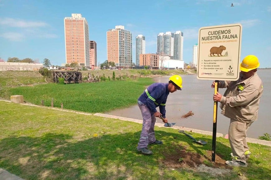 Personal del puerto local instaló la cartelería en el Dique 2.