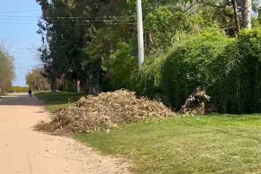 Falta de luminarias en arterias internas y plazas barriales.