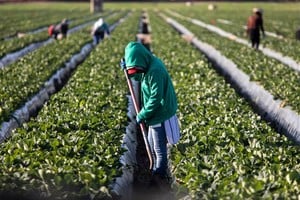El allanamiento del campo se realizó el 1º de octubre de 2025 en Arroyo Leyes. Foto ilustrativa