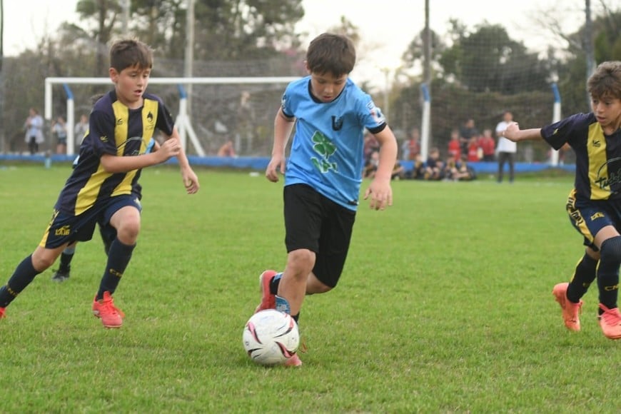 Torneo infantil El Lagunerito. Foto: Manuel Fabatía