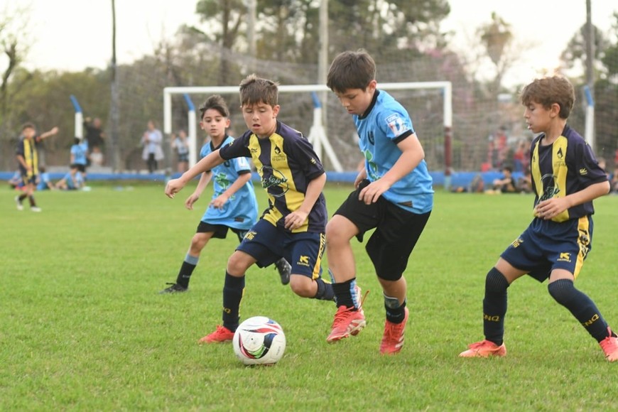 Torneo infantil El Lagunerito. Foto: Manuel Fabatía
