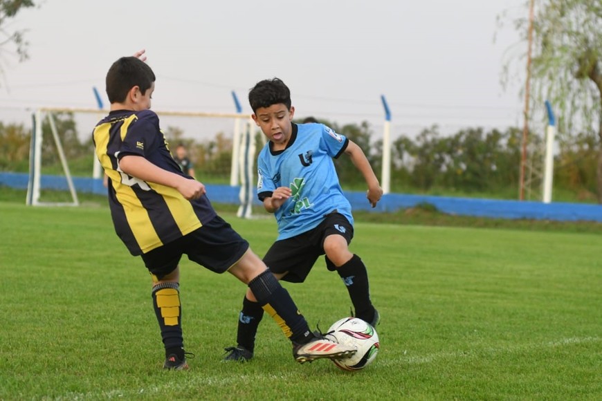 Torneo infantil El Lagunerito. Foto: Manuel Fabatía