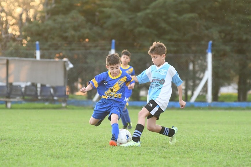 Torneo infantil El Lagunerito. Foto: Manuel Fabatía