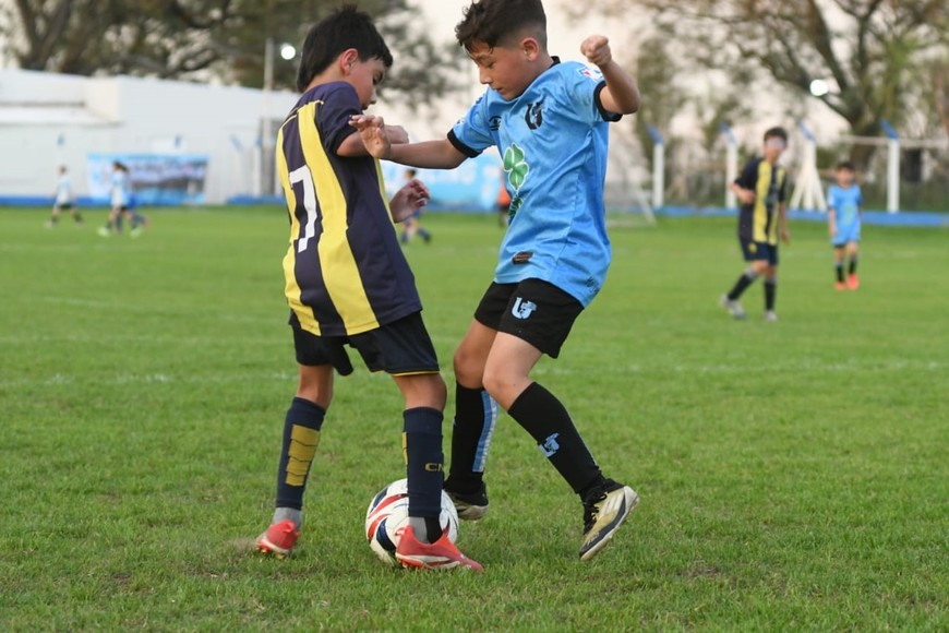 Torneo infantil El Lagunerito. Foto: Manuel Fabatía