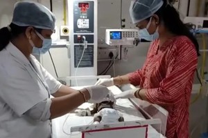 La bebé fue encontrado por casualidad cuando un pastor escuchó débiles gritos provenientes de debajo de un montículo de tierra.