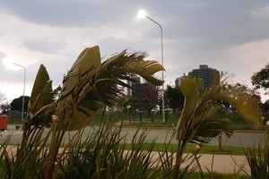 Foto: Manuel Fabatía