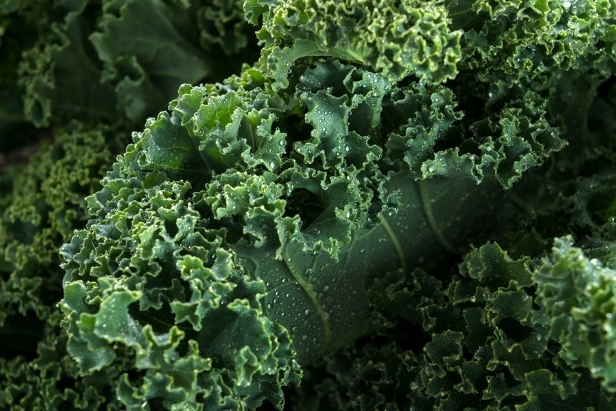 Es una opción valiosa para reforzar las defensas y contribuir a la salud