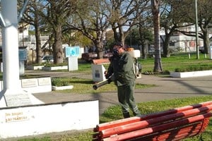Los espacios públicos son el eje de las fumigaciones. MCSF