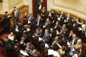 El Senado se convocó para completar el circuito de rechazo a los vetos sobre leyes de alto impacto.