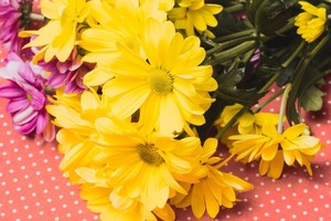 Cada 21 de septiembre, regalar flores amarillas se volvió costumbre entre los jóvenes.