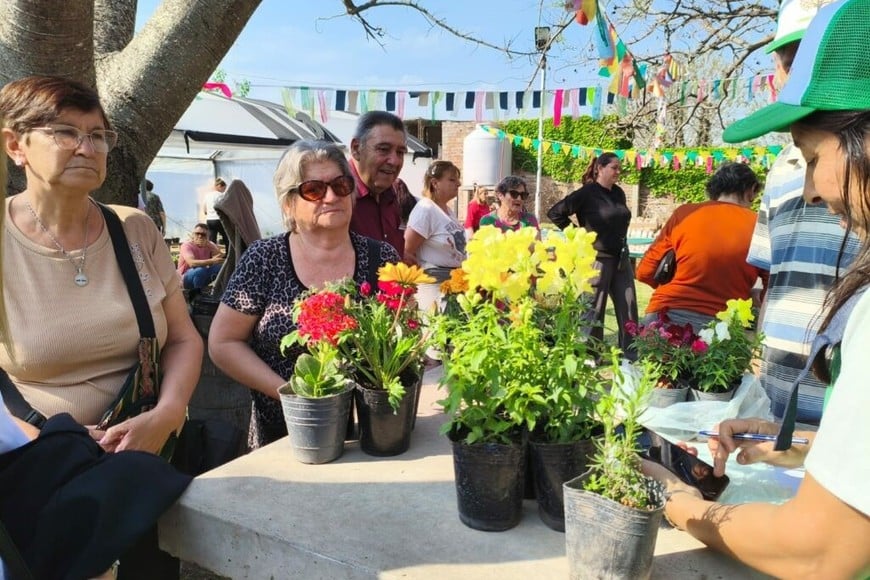 Los jóvenes que forman parte de este proyecto inclusivo pusieron a la venta una gran variedad de plantines, fruto de sus talleres semanales en el predio de Parques y Paseos.