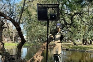 Los paneles protegidos con rejas para evitar el robo. MCSF