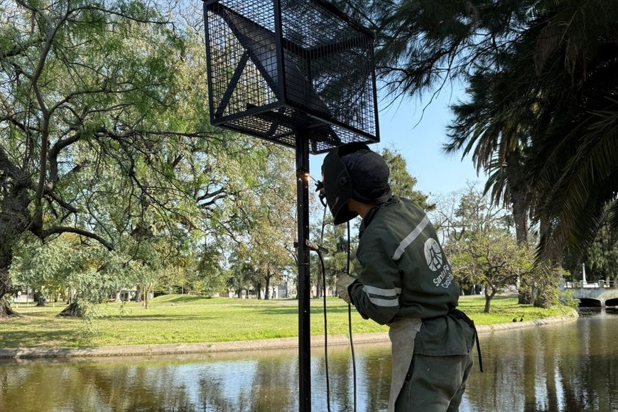 Los paneles protegidos con rejas para evitar el robo. MCSF