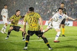 Foto: @catigreoficial