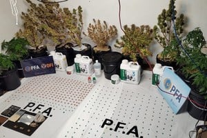 Caen dealers con un cargamento de éxtasis en la antesala de una fiesta electrónica