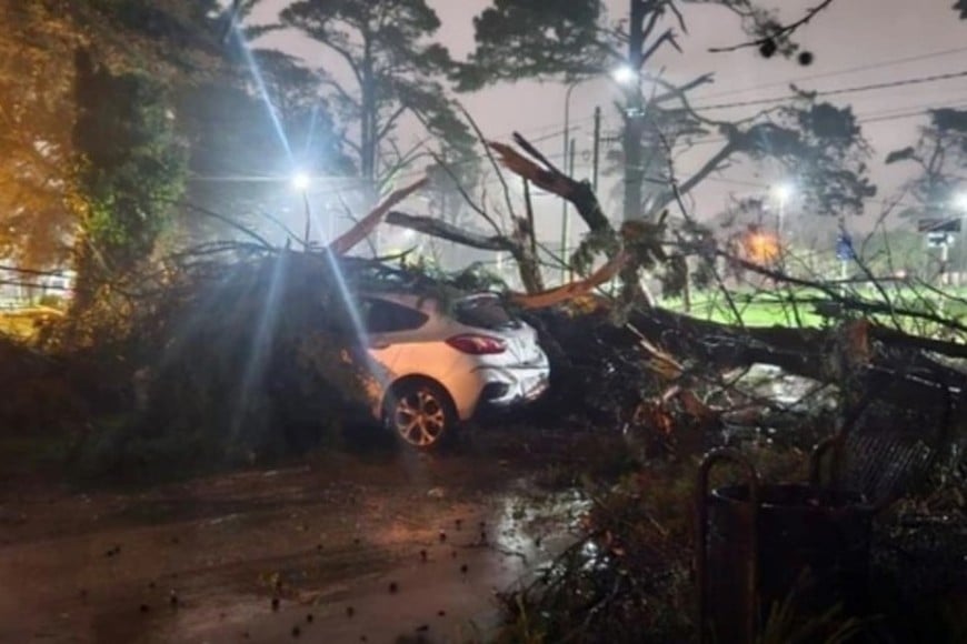 Se espera que a lo largo del domingo continúen los chaparrones aislados y lluvias intermitentes.