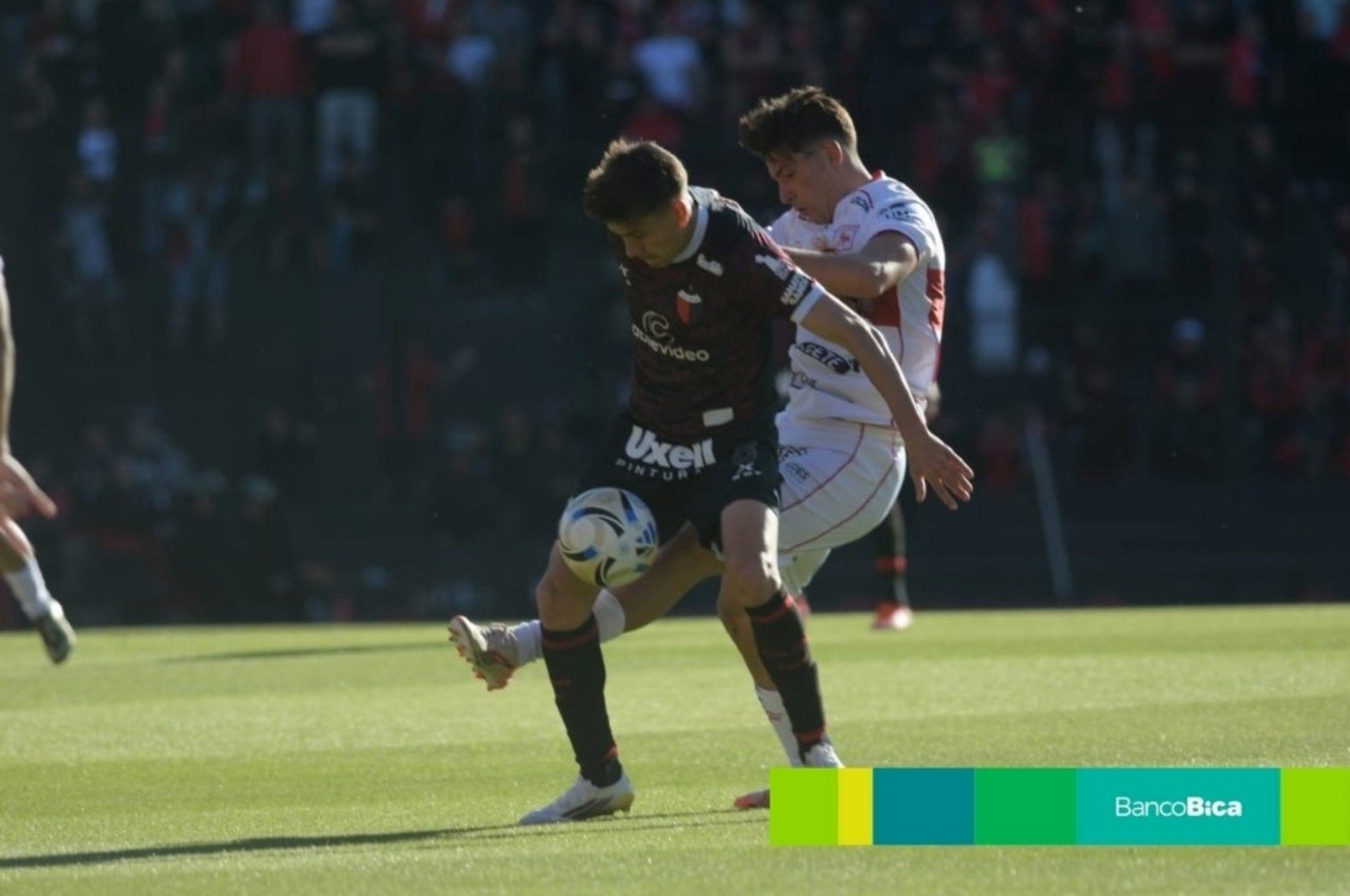 Galería BICA: Colón vs. Morón. Fecha 32 de la Primera Nacional.