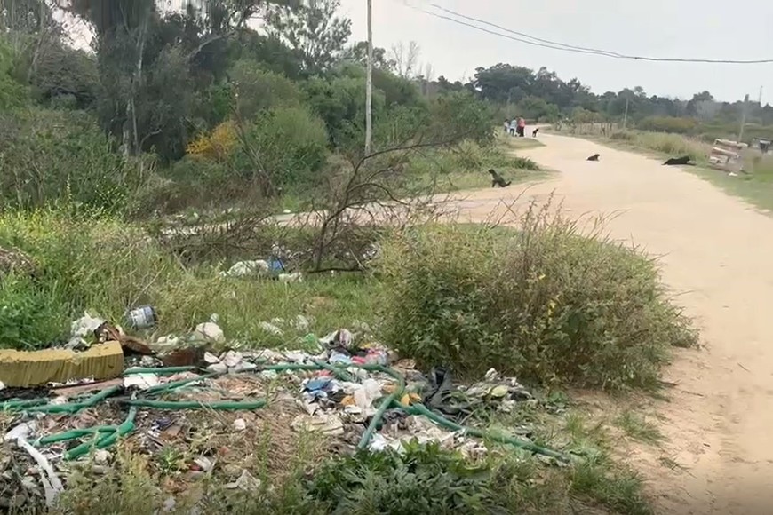 Vecinos de Colastiné Norte reclaman por usurpaciones sobre el anillo de defensa