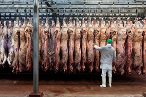 La carne pagaba una alícuota del 5% antes de la medida.