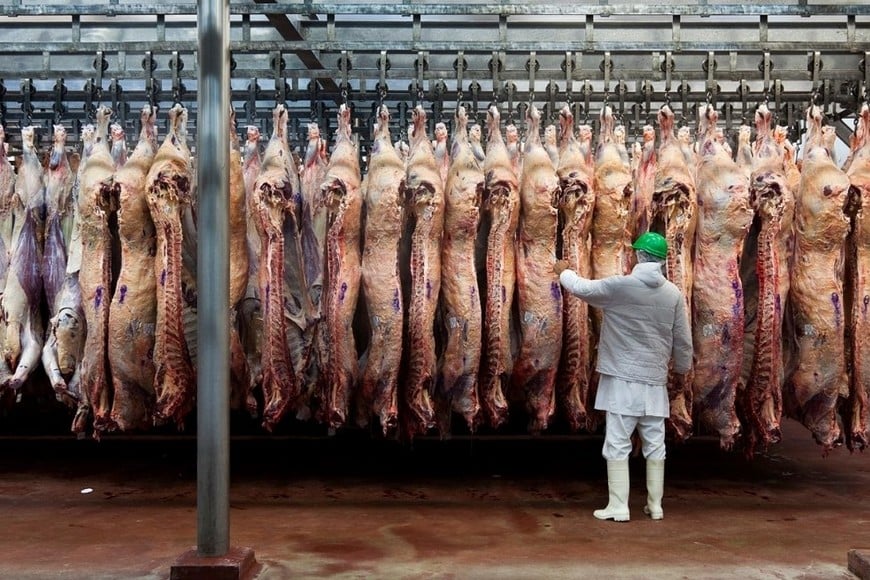 La carne pagaba una alícuota del 5% antes de la medida.