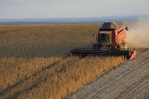 Referentes del sector agropecuario advierten que la medida impactará en otras cadenas productivas.