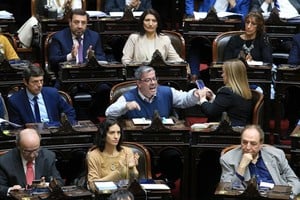 El Senado ya dio media sanción a la norma que restringe el uso y vigencia de los Decretos de Necesidad y Urgencia.