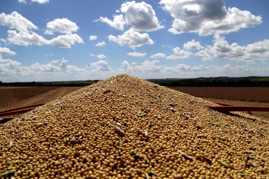 FILE PHOTO: Soybeans are seen loaded in a truck after being harvested in Caagauzu, Paraguay January 29, 2019. REUTERS/Jorge Adorno/File Photo