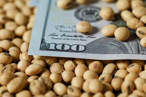 Las liquidaciones del sector llegaron rápido.