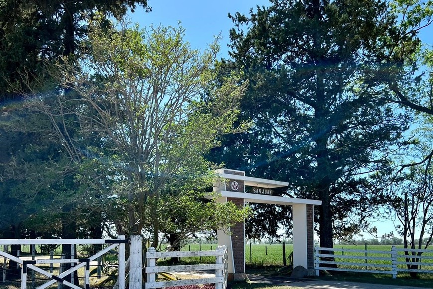 Cabaña San Juan S.A., de la familia Rostagno alcanzó uno de los logros más codiciados dentro de la ganadería nacional: su toro fue elegido Gran Campeón Macho Brangus en la ExpoBra 2025