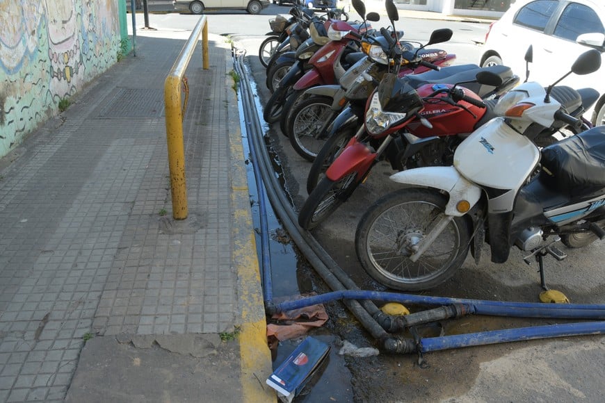 Guillermo Di Salvatore.